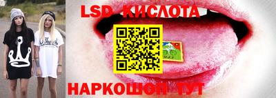 дмт Бузулук