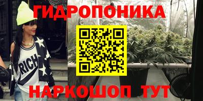 стаф Пенза
