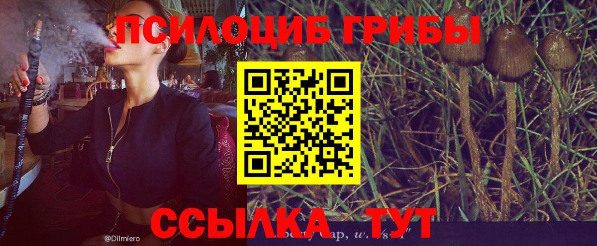 Псилоцибиновые грибы GOLDEN TEACHER  Вход с VPN  Галлюциногенные грибы Psilocybe  Реутов 