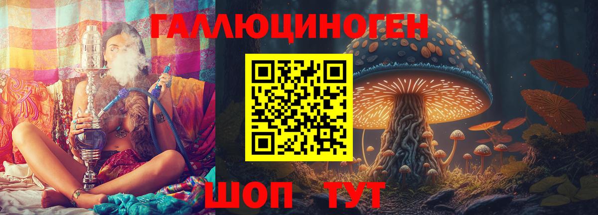 Псилоцибиновые грибы Cubensis Реутов